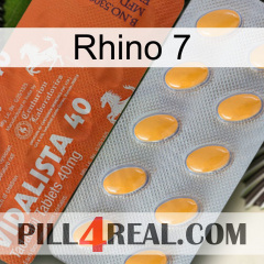 Rhino 7 43